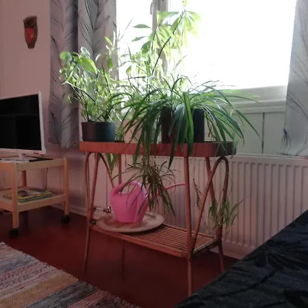 Kodit Tuulikinkatu Daire *